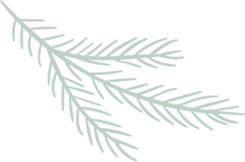 https://ljyey.wxlxjy.com/contents/sitefiles2044/10222167/images/41578430.png
