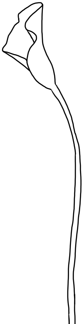 https://ljyey.wxlxjy.com/contents/sitefiles2044/10222167/images/41689594.png