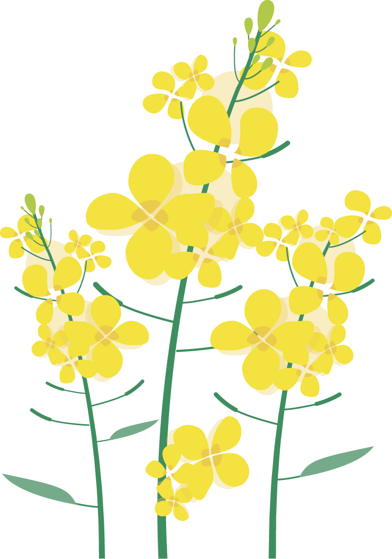 https://ljyey.wxlxjy.com/contents/sitefiles2044/10222167/images/42077241.png