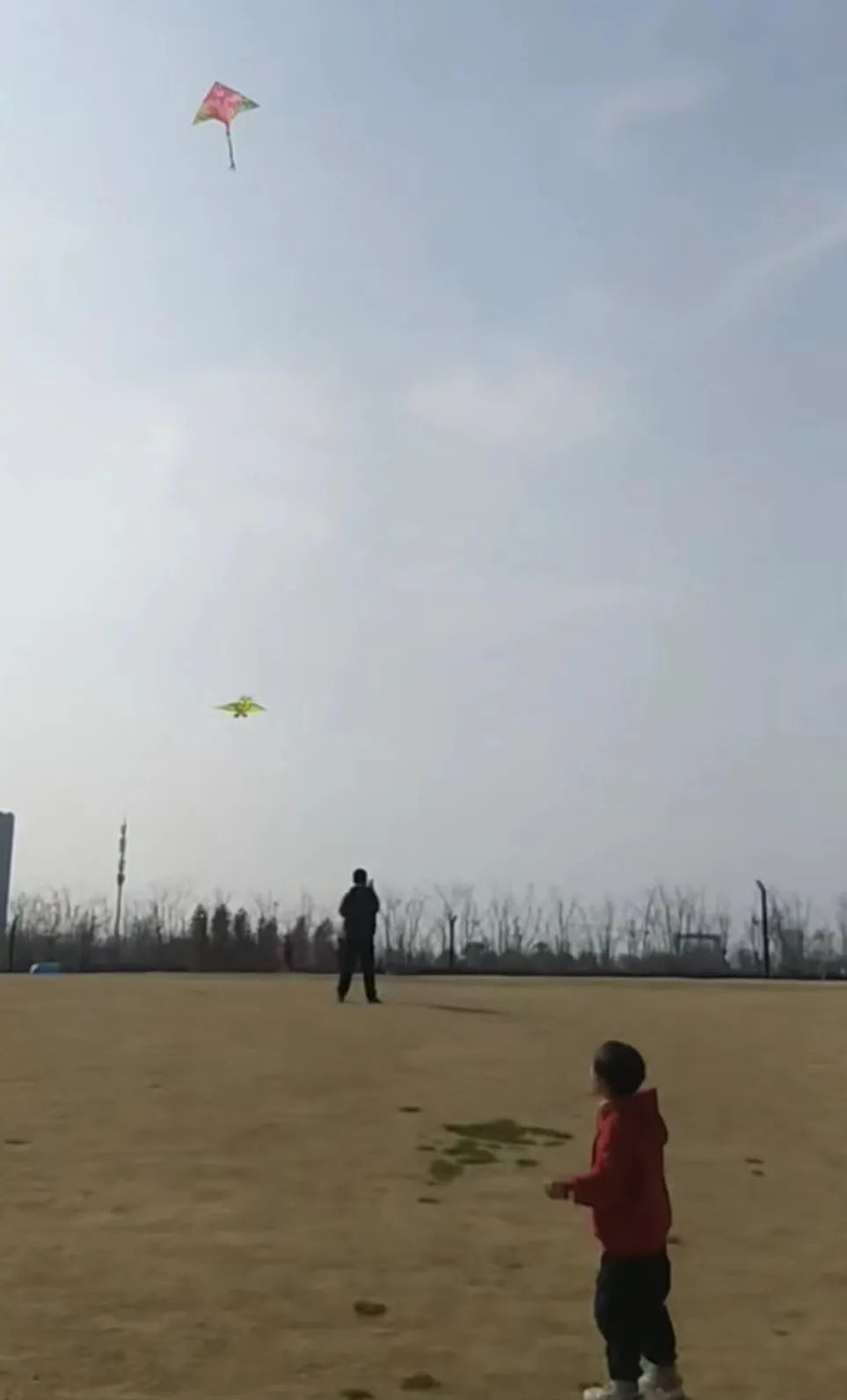 https://ljyey.wxlxjy.com/contents/sitefiles2044/10222167/images/42220246.jpeg
