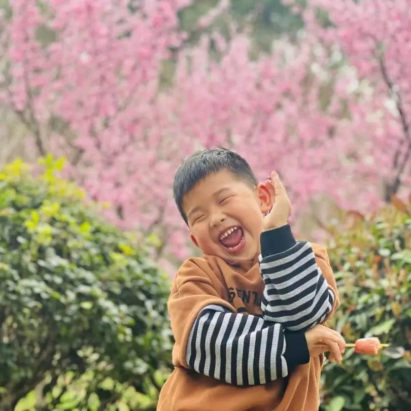 https://ljyey.wxlxjy.com/contents/sitefiles2044/10222167/images/42220266.jpeg