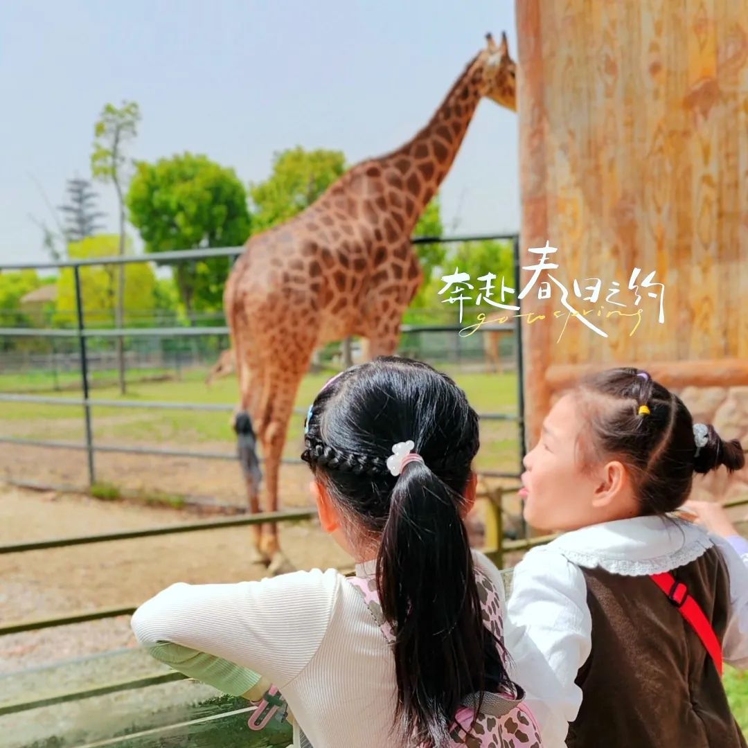 https://ljyey.wxlxjy.com/contents/sitefiles2044/10222167/images/42730066.jpeg