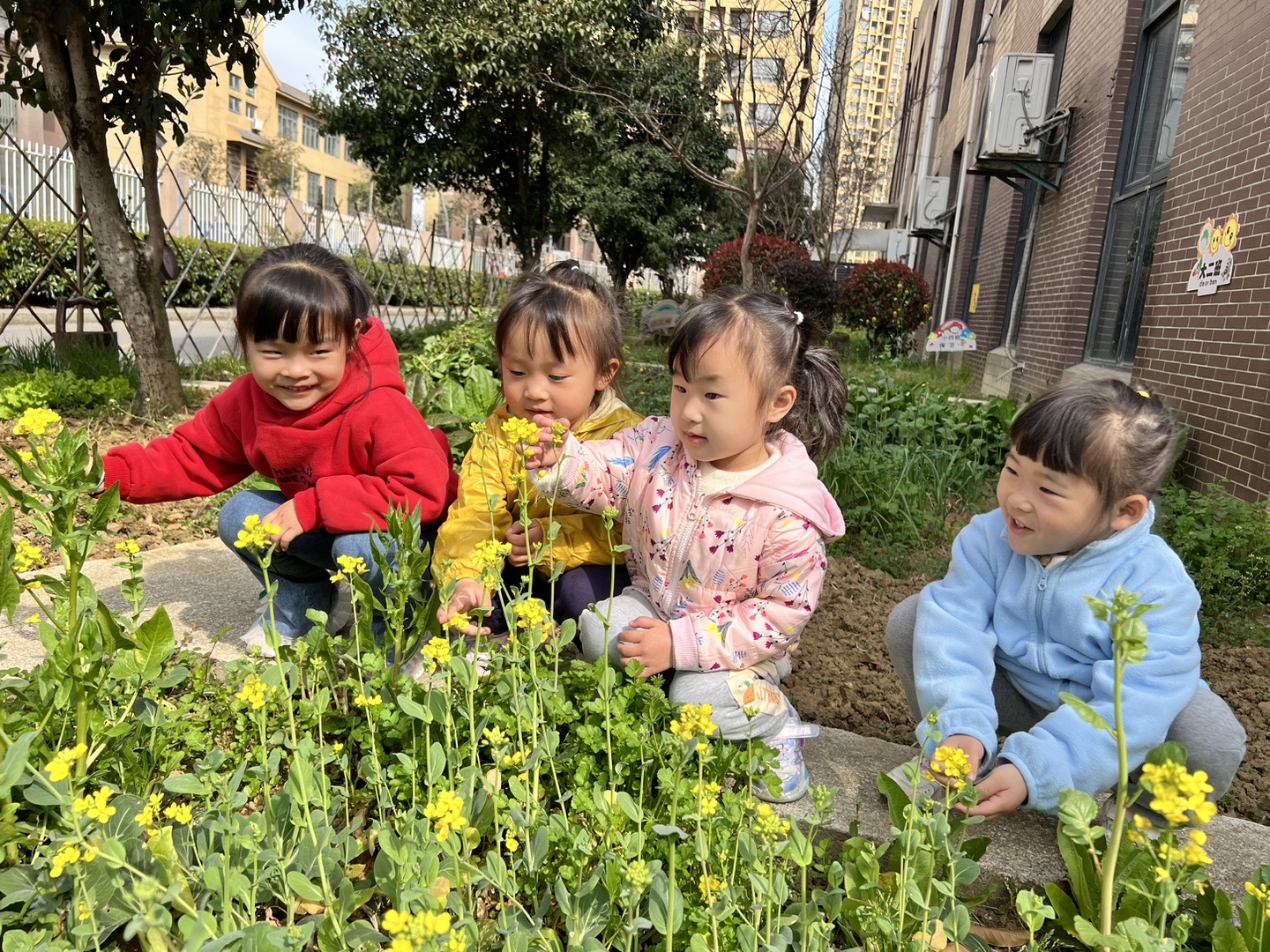 https://ljyey.wxlxjy.com/contents/sitefiles2044/10222167/images/43749437.jpg