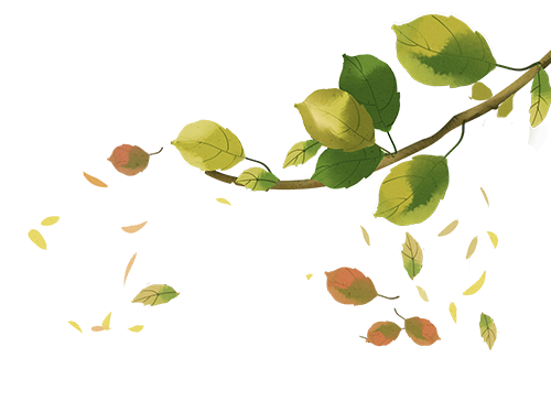 https://ljyey.wxlxjy.com/contents/sitefiles2044/10222167/images/46073151.png