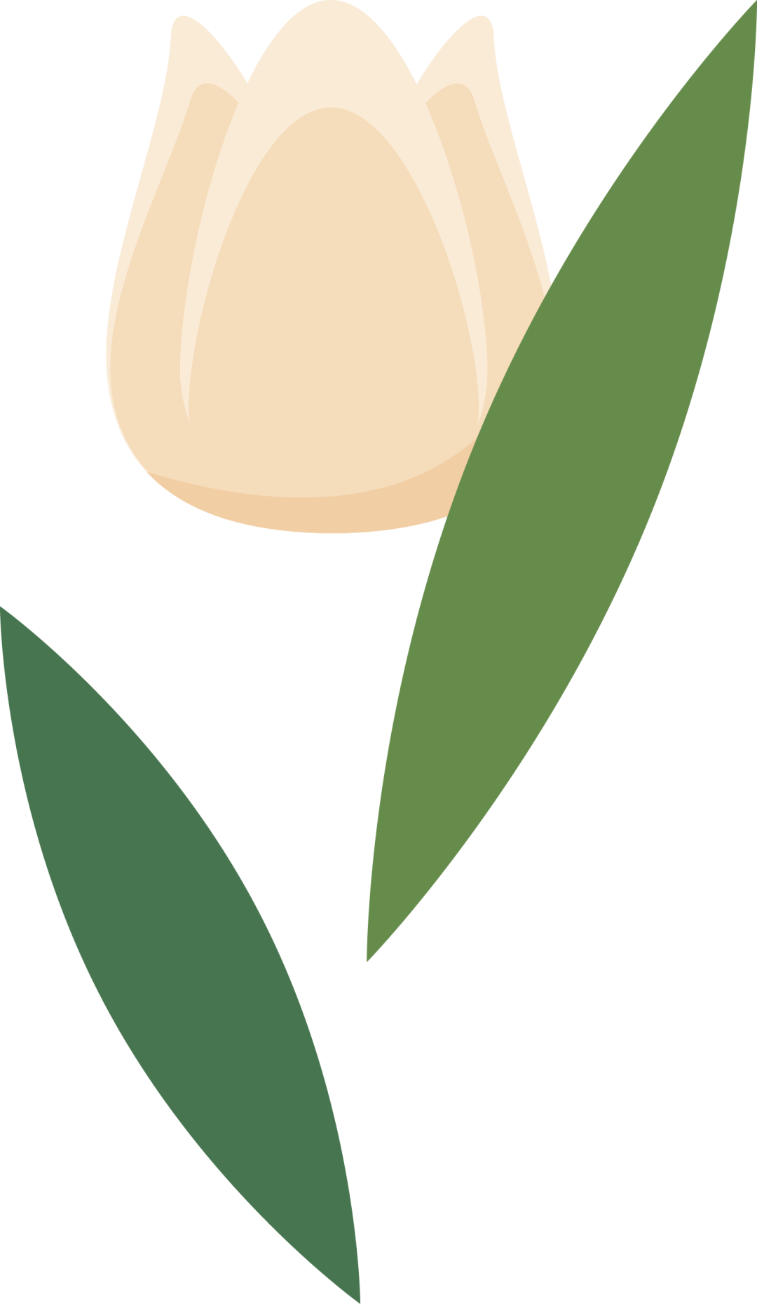 https://ljyey.wxlxjy.com/contents/sitefiles2044/10222167/images/46073170.png