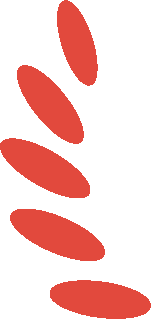 https://ljyey.wxlxjy.com/contents/sitefiles2044/10222167/images/46763759.png