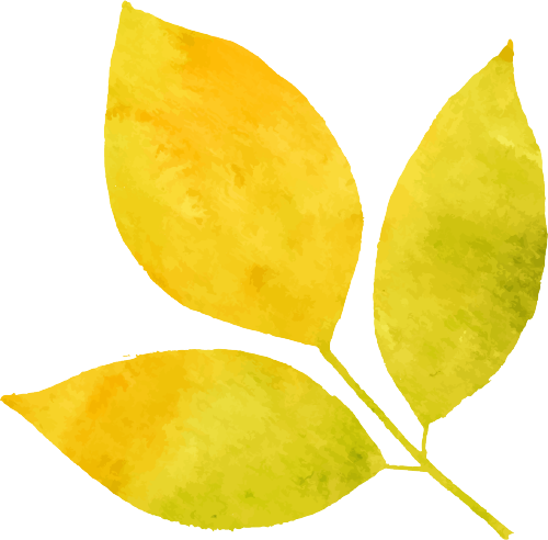 https://ljyey.wxlxjy.com/contents/sitefiles2044/10222167/images/46764573.png