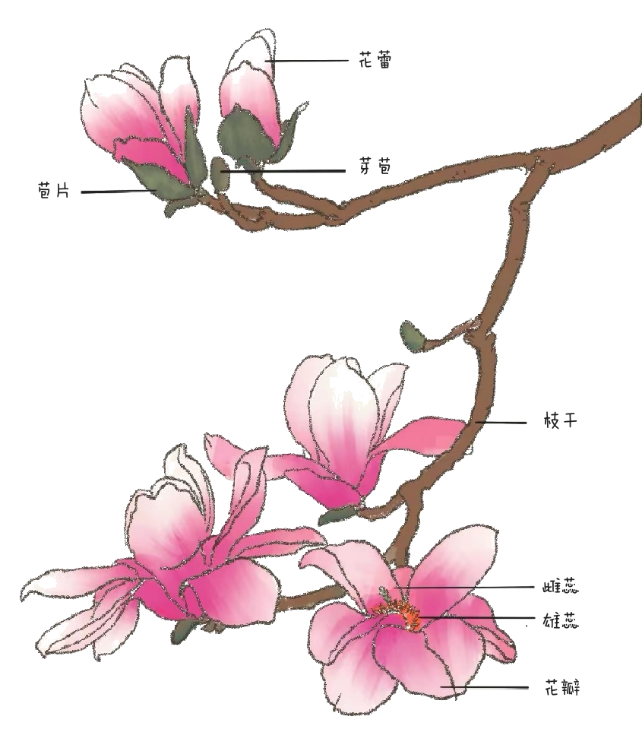 https://ljyey.wxlxjy.com/contents/sitefiles2065/10327692/images/50379729.png
